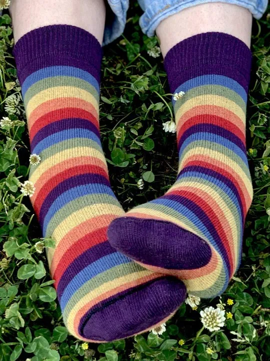 Iris Rainbow Striped