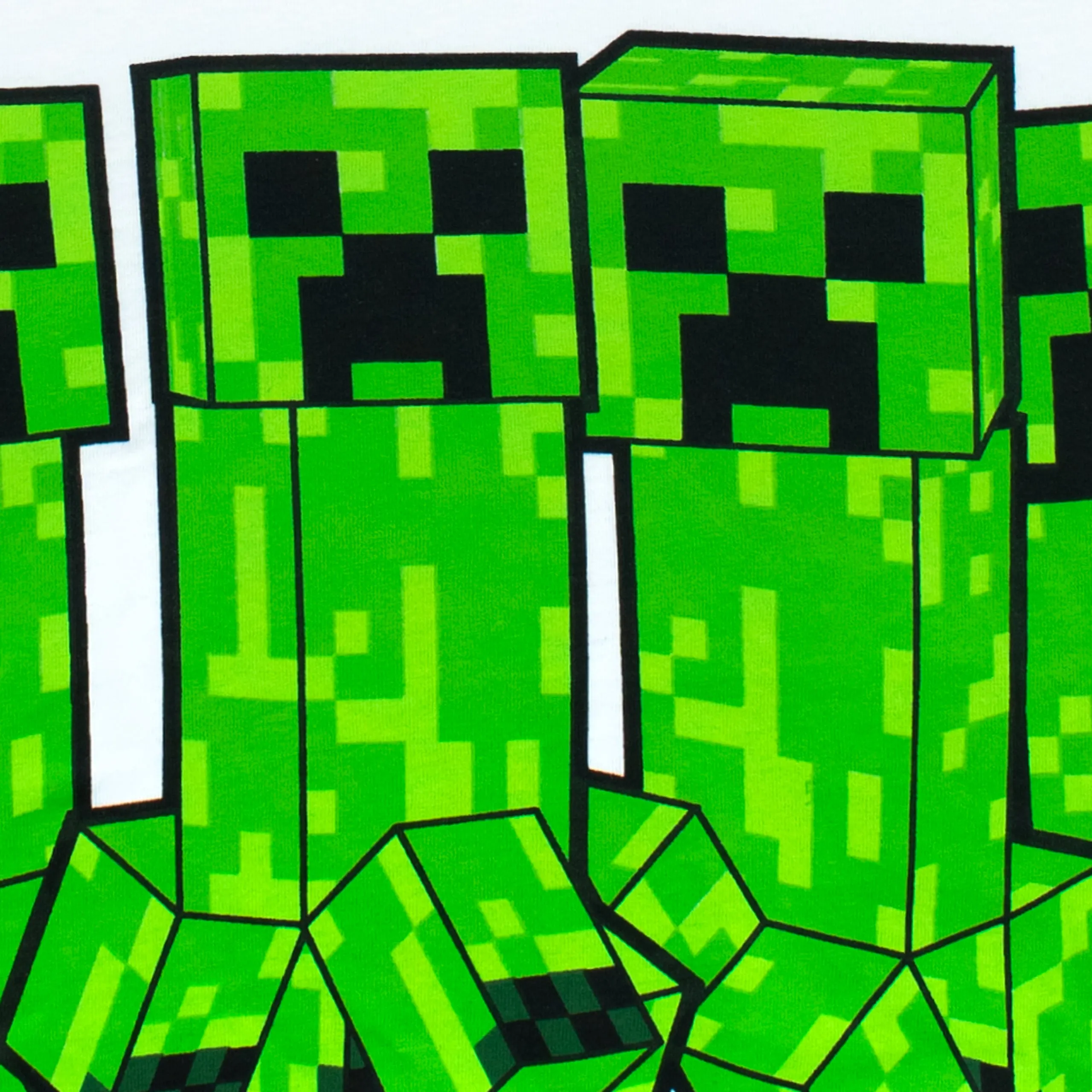 Minecraft Top and Shorts