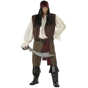 Rogue Pirate Plus Size Men's Costume