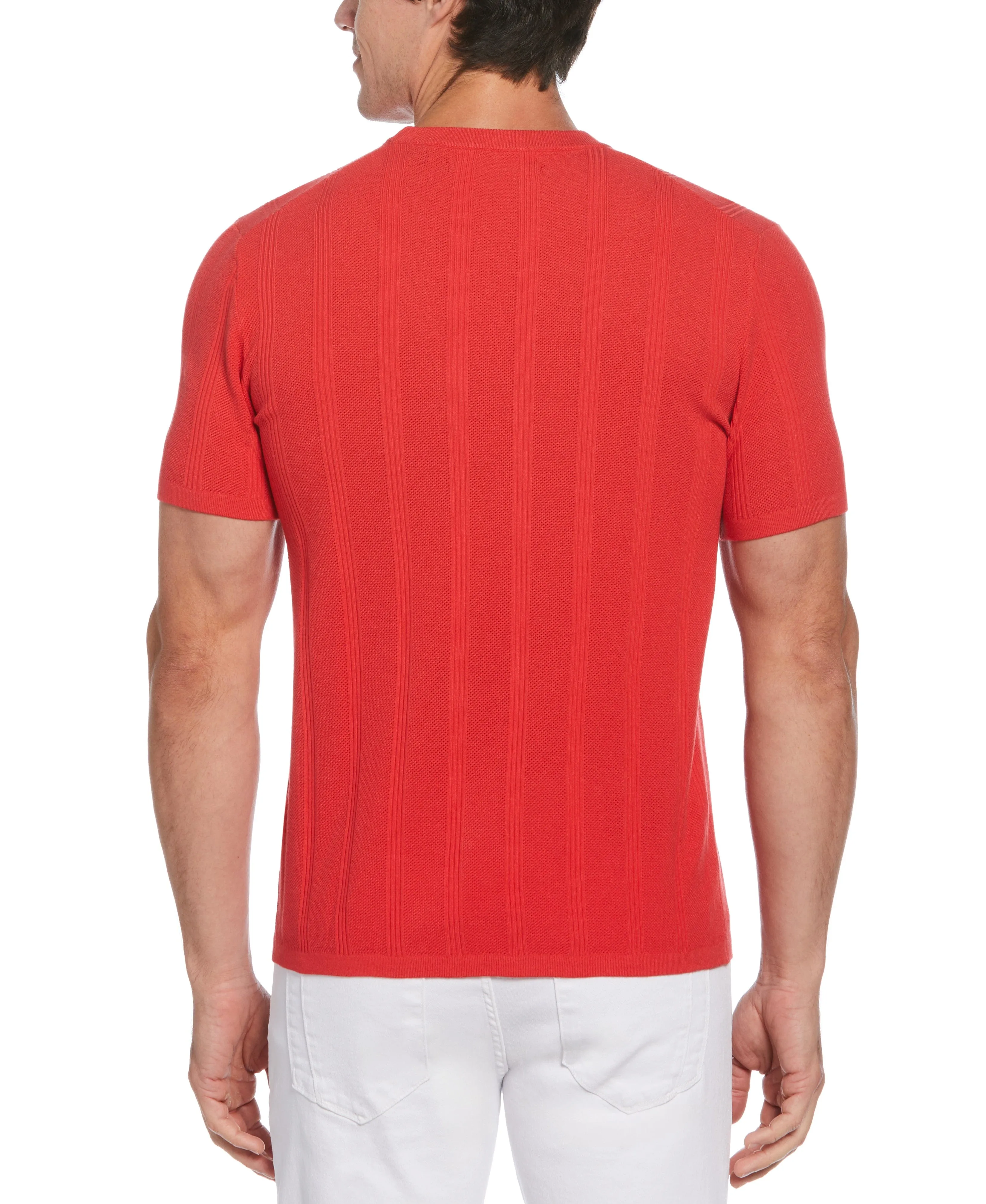 Tech Knit Striped Crew Neck Shirt